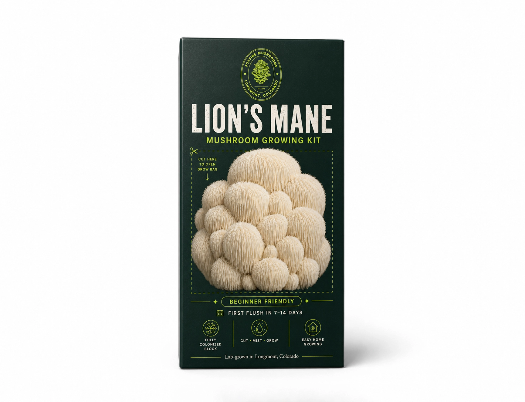 Lion's Mane Mushroom Growing Kit