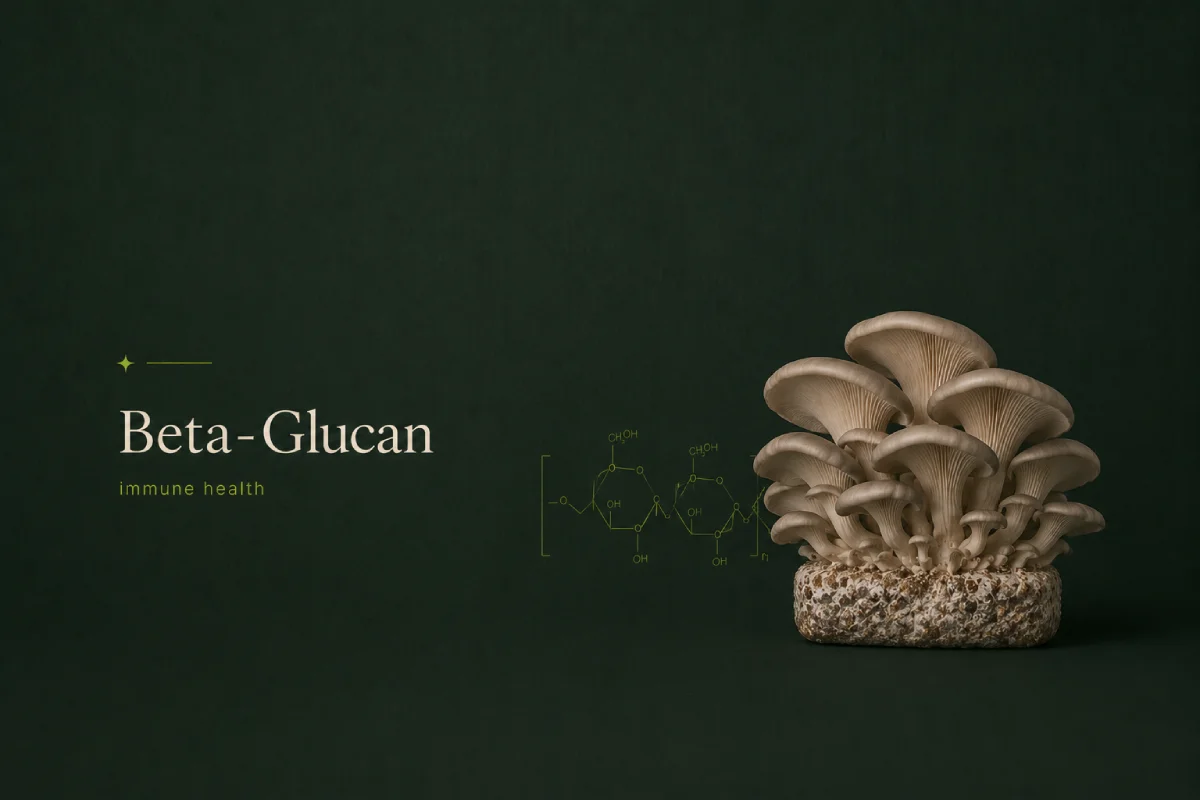 What Is Beta-Glucan_ The Science Behind Mushrooms and Immune Health